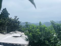 -桃源山庄·水蜜桃采摘·柴火鸡·烧烤团建(龙泉山店)