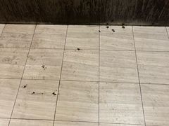 -秉正堂中医门诊部公司(新乐路店)