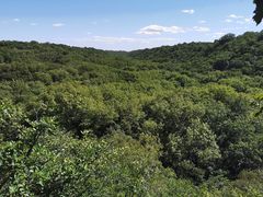-大青沟风景区