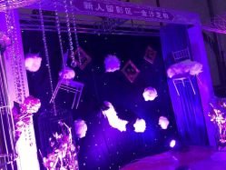 -保定金沙芝柏婚礼策划