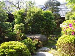 -奈良公园