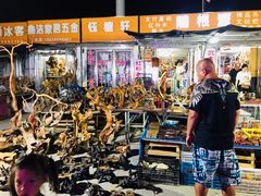 -中环花鸟鱼虫市场
