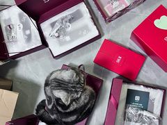 -中农大我爱我爱动物医院·核磁CT·猫病·24小时夜诊中心(石佛营店)