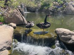 -罗红摄影艺术馆