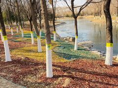 -大兴滨河森林公园