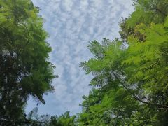 -重庆彩云湖湿地公园