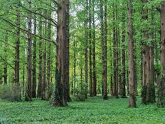 -国家植物园南园