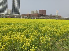 -西海岸生态观光园