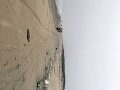 -东海岛旅游度假区