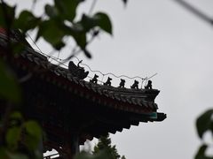 -莲池书院博物馆