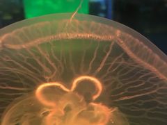 -石林冰雪海洋世界