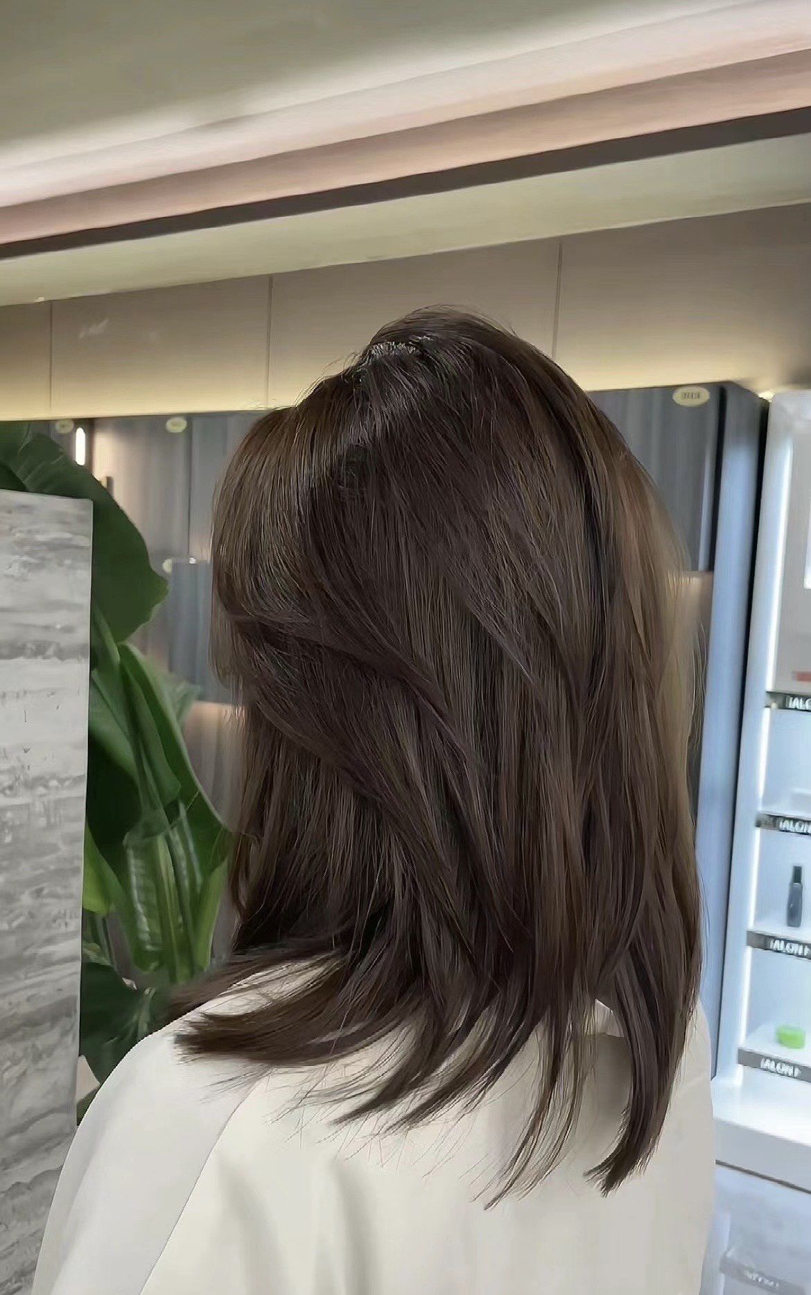 永不过气的发色!巧克力棕!