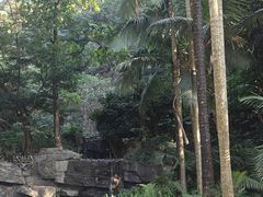 -点都德(广州白云山景区南门店)