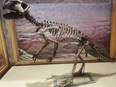 -国家自然博物馆