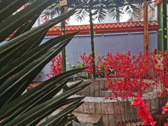 -兴芮温泉度假区