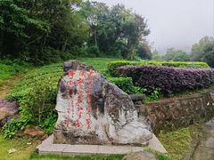 -敬亭山风景名胜区