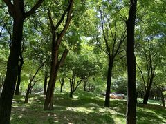 -清凉山国家森林公园