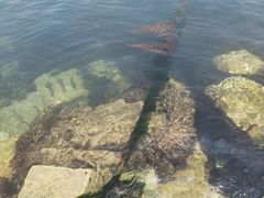 -星海广场