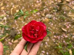 -观山湖公园