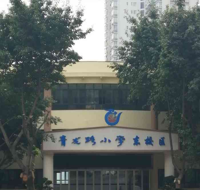 青龙路小学头像重庆市南岸区青龙路小学照片重庆市南岸区青龙路小学校