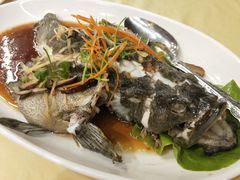 老虎斑-真浪花园海鲜餐馆