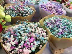 -双季花艺园艺市场(浦东店)