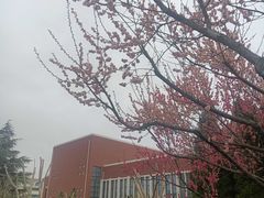 -山东外贸职业学院