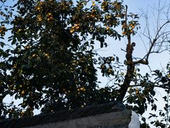 -北寺塔