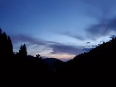 -武陵山森林公园