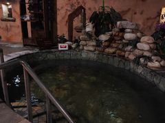 -泉城欧乐堡戏水湾艺术养生温泉