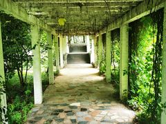 -国家植物园南园