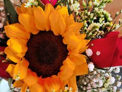 -循礼门鲜花花市(武汉循礼门店)