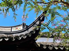 -上海醉白池公园