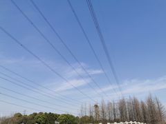 -九里河湿地公园