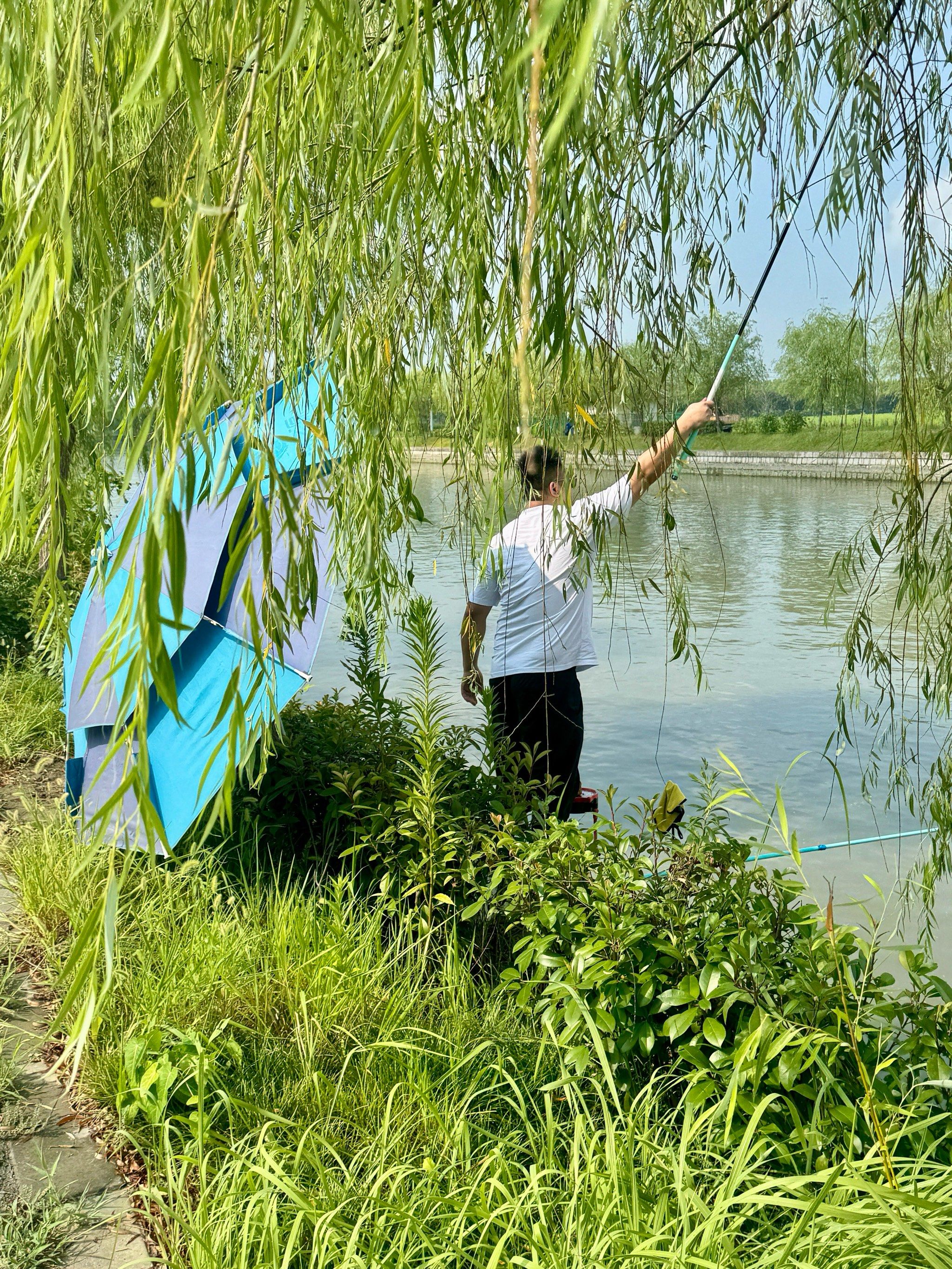 户外垂钓🎣你会大小鱼通吃吗?