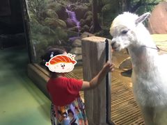 -苏州海洋馆