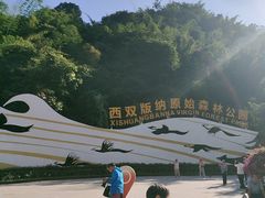 -西双版纳原始森林公园