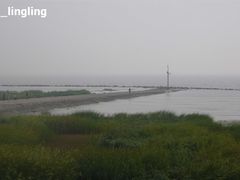 -南汇嘴观海公园