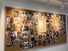 -翊宠yipet猫狗购宠庄园犬舍•猫舍