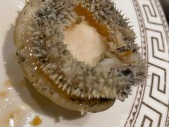 新鮮澳洲鮑魚-中国厨房/台湾牛肉面