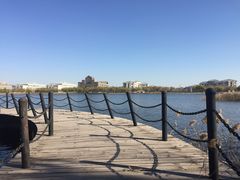 -南开大学滨海学院