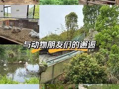 -宁波野生动物园