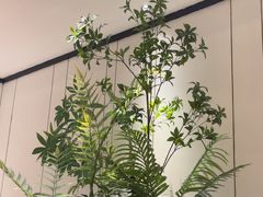 -炉鱼(萧山万象汇店)
