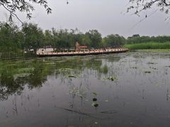 -绿堤公园