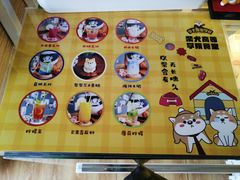 -柴犬高等学院·狗咖·柴犬售卖·宠物训练