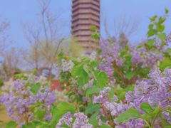 -西海子公园