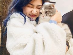 -藦茜花园宠物主题亲子互动体验馆(国顺东路店)