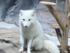 -海合安青岛极地海洋公园