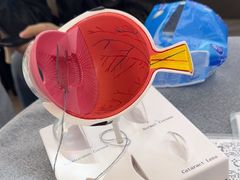 -武汉大学附属爱尔眼科医院(湖北总院)