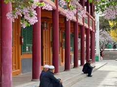 -西宁市东关清真大寺